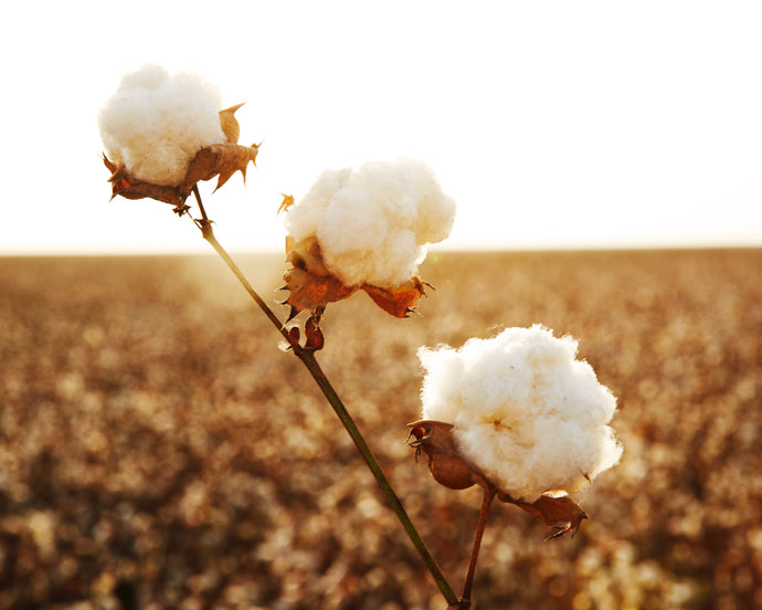 WHY NATURAL FIBERS COUNT WHEN ALL ELSE FAILS