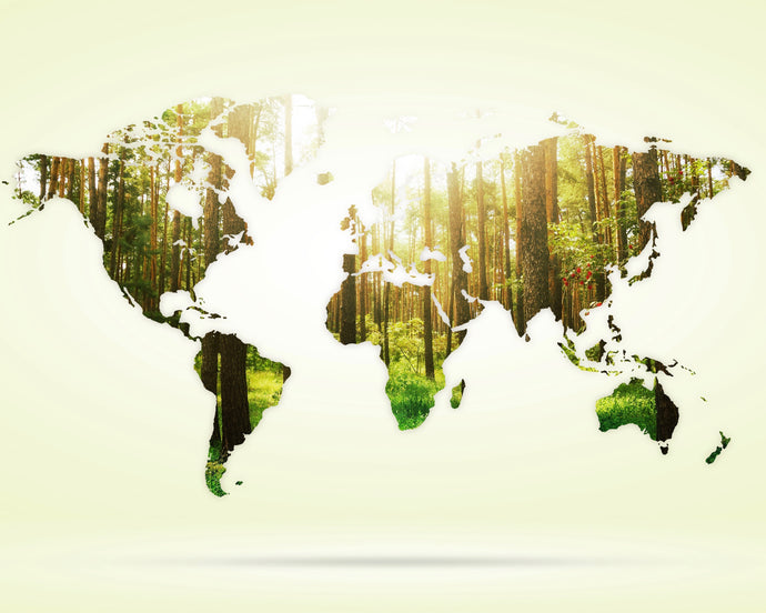 WHY TRACEABILITY COUNTS